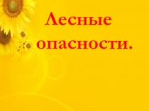 Презентация  Лесные опасности