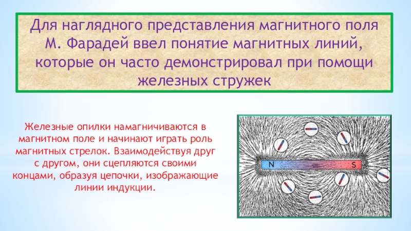 На рисунке вид сверху показана картина линий магнитного поля полученная с помощью железных опилок