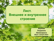 Презентация по биологии на тему Лист.Внешнее и внутреннее строение (6 класс)