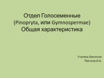 Презентация по биологии Отдел Голосеменные