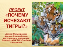 Презентация по окружающему миру Почему исчезают тигры?