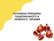 Презентация по физической культуре на тему ОСНОВНЫЕ ПРИНЦИПЫ РАЦИОНАЛЬНОГО И ЛЕЧЕБНОГО ПИТАНИЯ