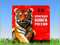 Презентация Красная книга для детей старшего дошкольного возраста