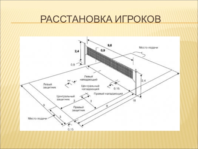 Схема волейбольного поля