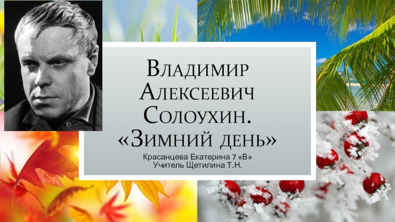 Солоухин деревья 2 класс 21 век презентация