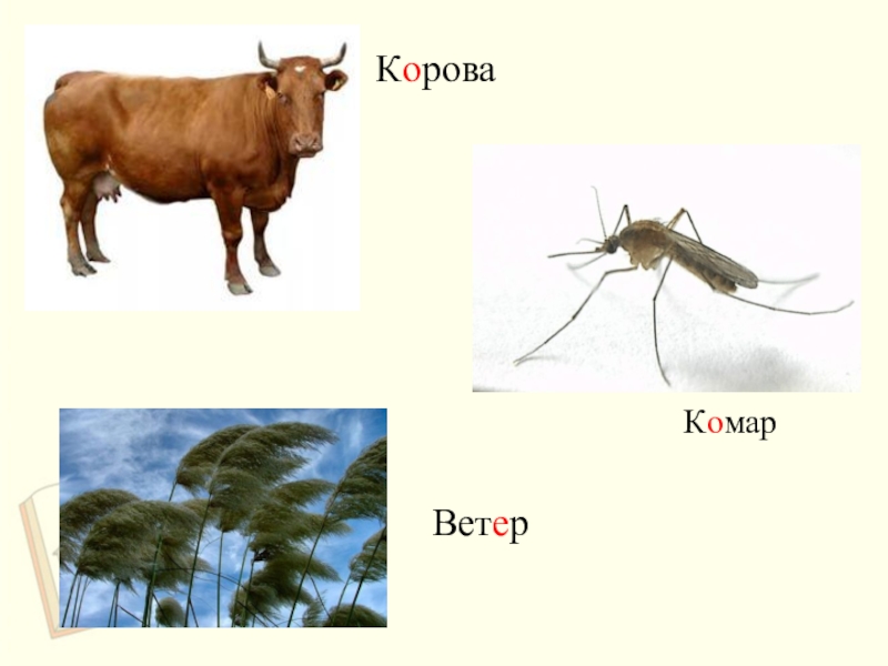 Слон и комар картинка