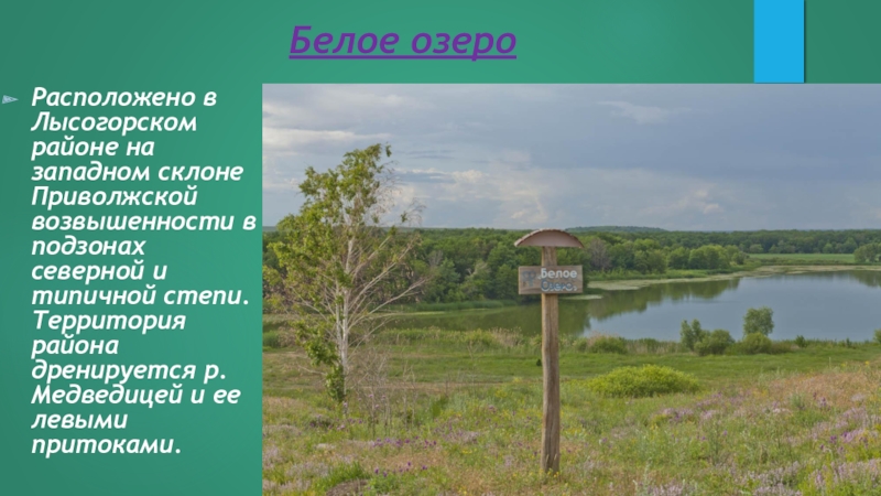 Какие водные объекты находятся в саратовской области. Озера Саратовской области. Белое озеро Лысогорский район. Белое озеро Саратовская область Лысогорский. Охраняемые территории Саратовской области.