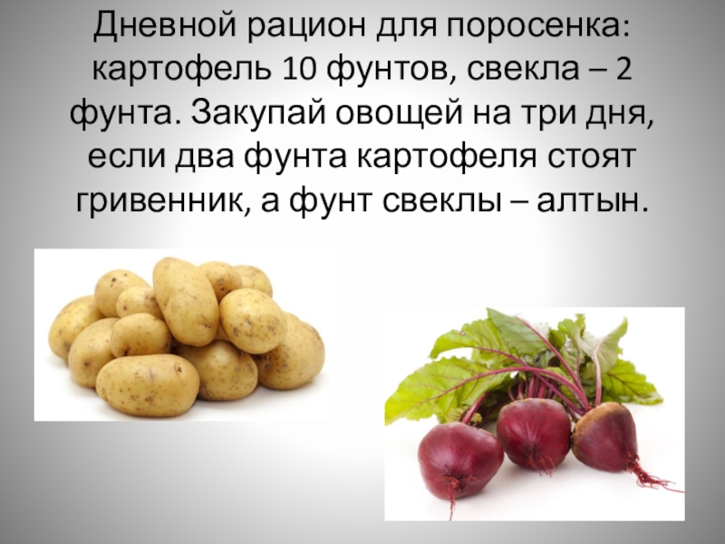 Дневной рацион для поросенка: картофель 10 фунтов, свекла – 2 фунта. Закупай овощей на три дня, если