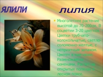 Красная книга Кубани -2