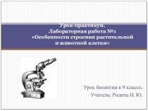Презентация по биологии Клетка