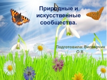 Презентация к уроку окружающего мира :Природное сообщество.