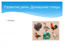 Презентация по развитию речи на тему  Домашние птицы. Загадки.