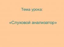 Презентация по биологии на тему Слуховой анализатор (8 класс)