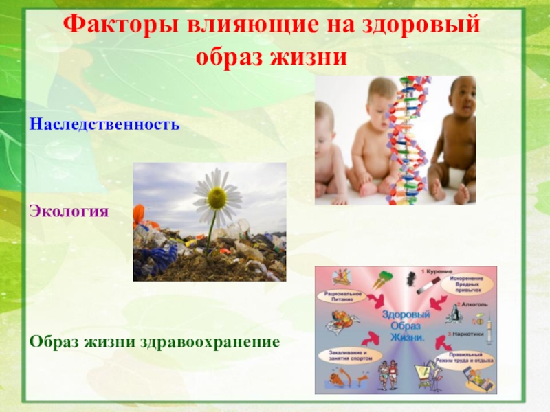 Здоровый образ жизни наследственность. Наследственность и экология. Образ жизни экология наследственность картинка. Здоровье детей в наших руках.