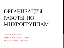 Презентация Организация работы в микрогруппах
