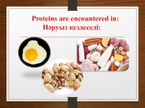 Биология пәнінен Тірі ағзалардың ерекше тобы - саңырауқұлақтар тақырыбыда перезентация жұмысы