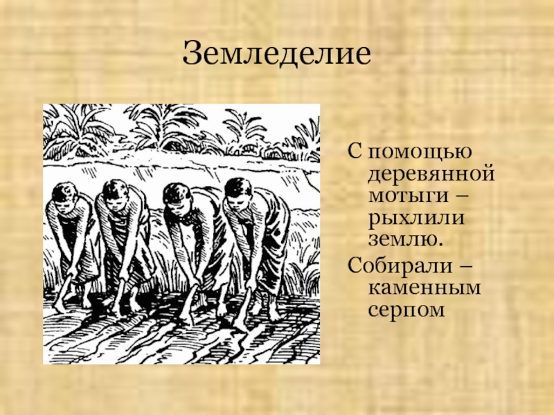 Земледелие история 5. Земледелие это 5 класс. Земледелие древних людей 5 класс. Земледелие это 5 класс история. Земледелие это 6 класс.