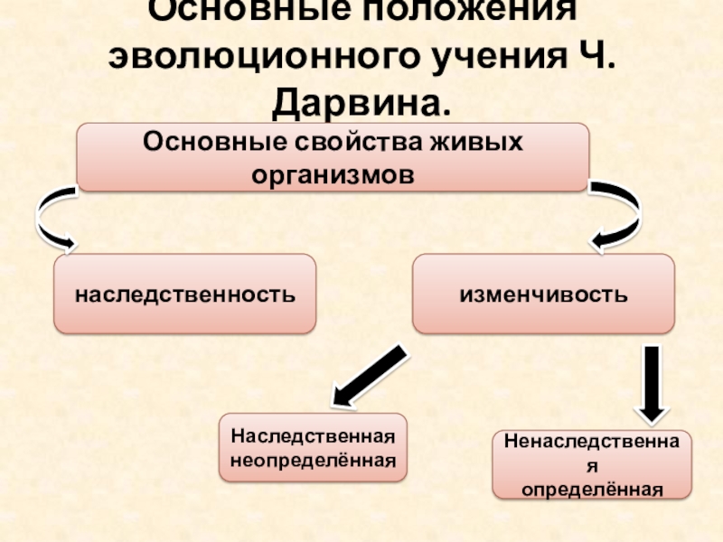 Презентация доказательства эволюции животного мира учение чарльза дарвина 7 класс