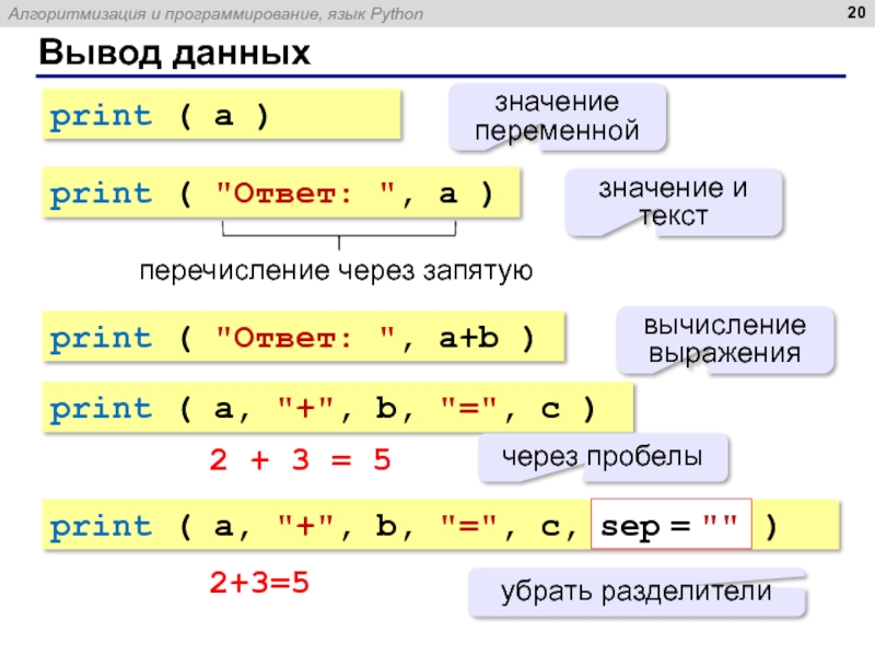 Язык программирования питон проект