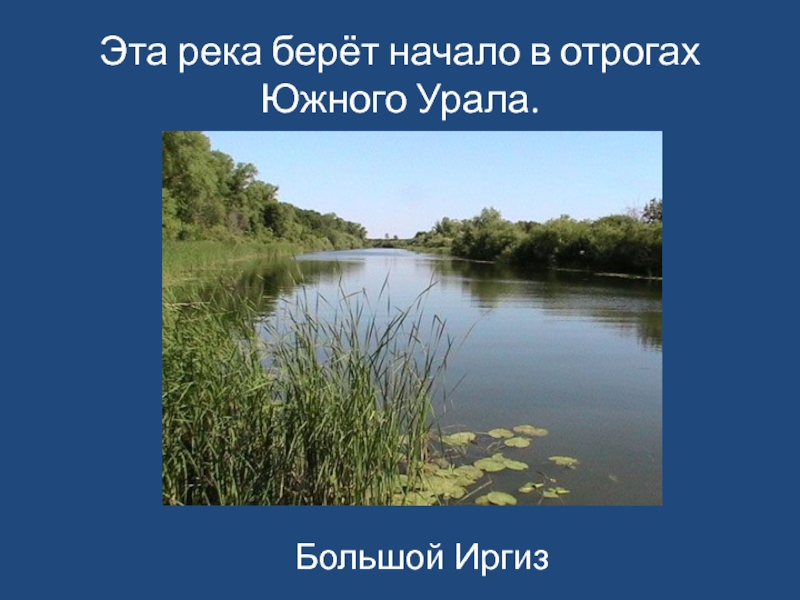Откуда берет начало река тура. Река большой Иргиз Самарская область. Река большой Иргиз начало. Откуда начинается большой Иргиз. Начало реки Иргиз.