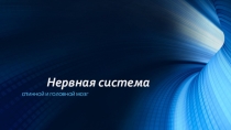 Презентация по биологии на тему: Строение нервной системы