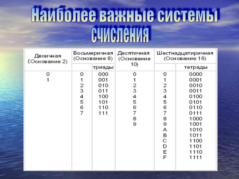 Тетрады информатика