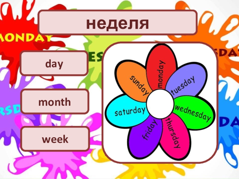 Days of the week презентация 3 класс