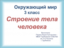 Презентация по окружающему миру Строение тела человека (3 класс)