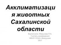 Презентация по краеведению на тему: Акклиматизация животных Сахалинской Области (7 Класс)
