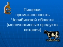 Пищевая промышленность Челябинской области (молочнокислые продукты питания)