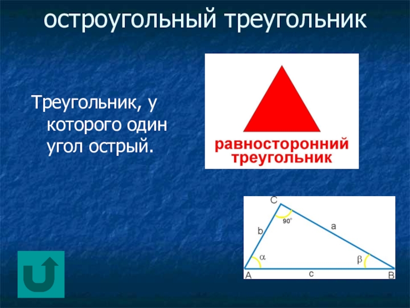 В остроугольном треугольнике есть прямой угол. Острый треугольник. Треугольник с острыми углами. Остроугольный треугольник. Острые углы треугольникк.