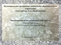 Презентация проекта  Волшебная соль