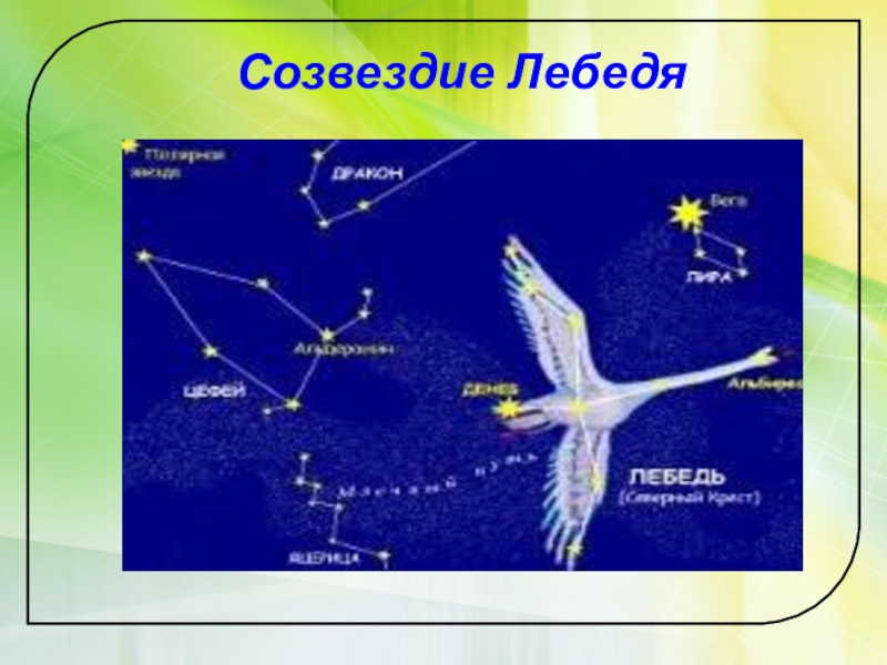 Созвездие лебедь окружающий мир. Созвездие лебедь. Созвездие лебедя на небе. Созвездие лебедь созвездия. Как выглядит Созвездие лебедь.