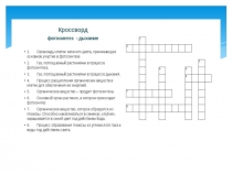 Презентация по биологии на тему: Дыхание жизни