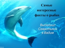 Презентация по окружающему миру  Водные обитатели