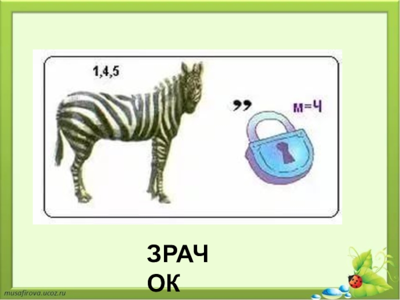 Биологические ребусы в картинках с ответами