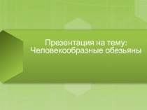 Презентация к уроку биологии на тему Человекообразные обезьяны