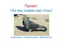 Призентация по ознакомлению с птицами,с их видами и особенностями.