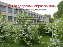 Презентация Мы за здоровый образ жизни