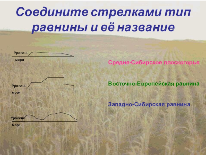 Виды низменностей. Название равнин. Волнистая равнина. Равнина и её название. Типы равнин.