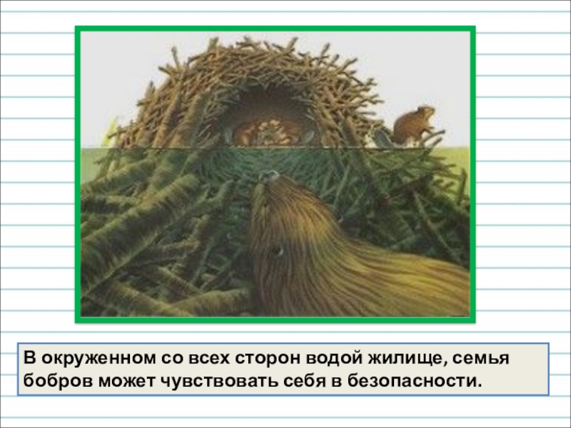 Окруженная со всех сторон водой. Жилище водяного. Картинки жилище водяного.