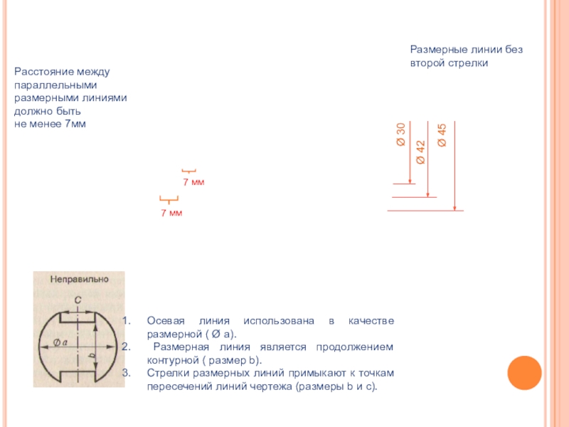 Какие линии используются в качестве размерных