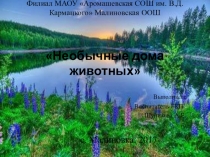Презентация Удивительные дома животных