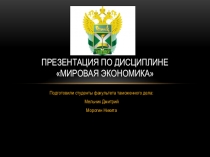Презентация по дисциплине МИРОВАЯ ЭКОНОМИКА