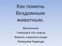 Презентация Исследовательская работа Как помочь бездомным животным