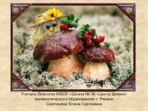 Шляпочные грибы (5 класс)