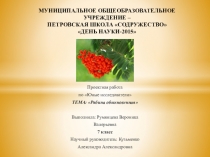 Презентация по биологии_ 6 класс_ Рябина обыкновенная