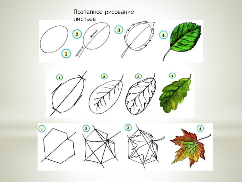 Изо 1 класс образцы