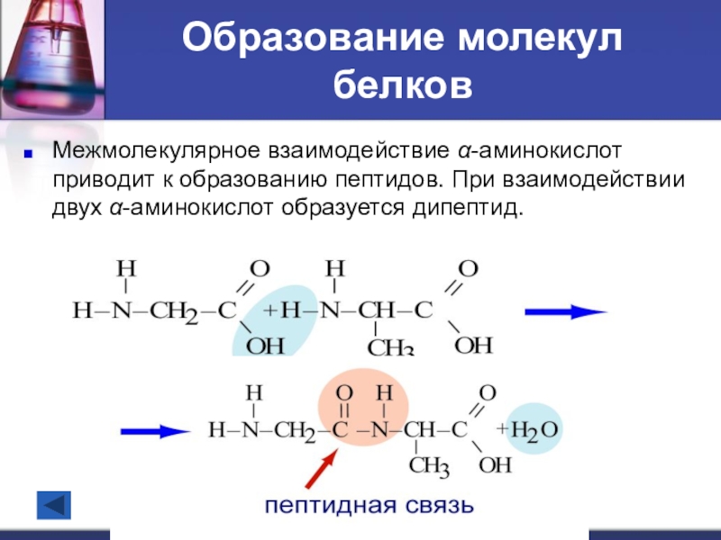 Аминокислоты проект по химии