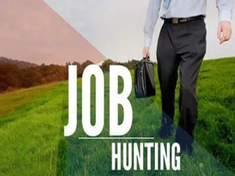 Презентация Презентация по английскому языку на тему Jobhunting